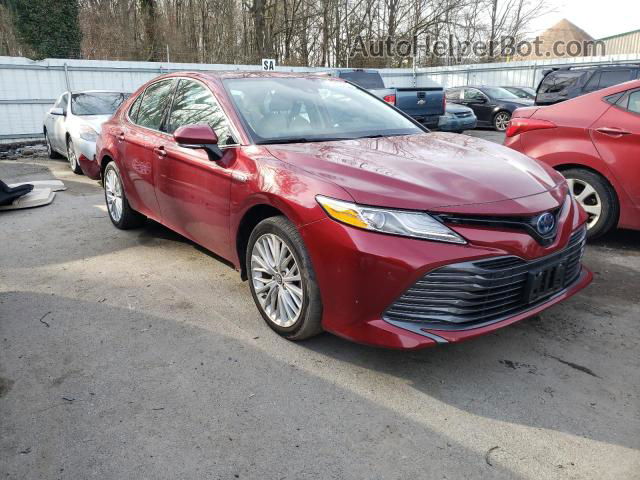 2019 Toyota Camry Hybrid Red vin: 4T1B21HK9KU511843