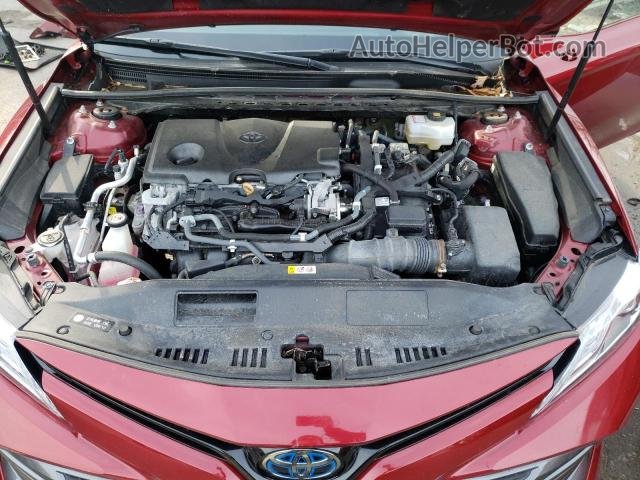 2019 Toyota Camry Hybrid Red vin: 4T1B21HK9KU511843