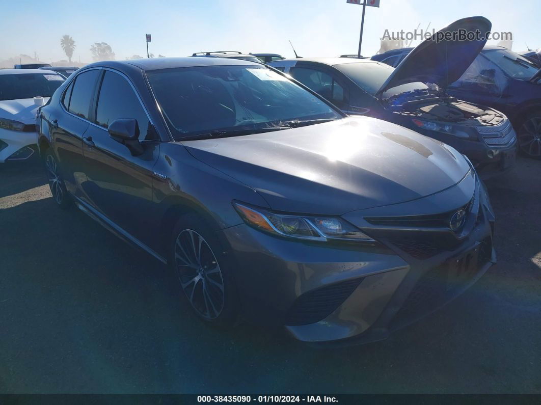 2019 Toyota Camry Hybrid Se Gray vin: 4T1B21HKXKU514850