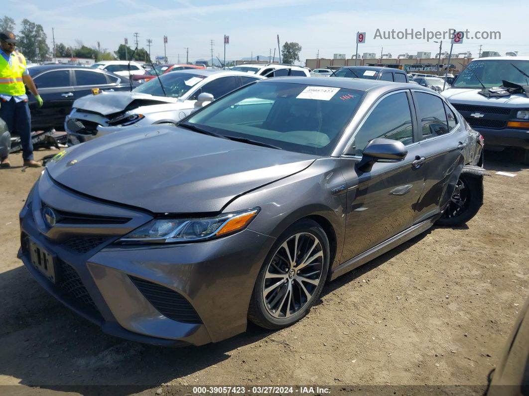 2019 Toyota Camry Hybrid Se Gray vin: 4T1B21HKXKU515187