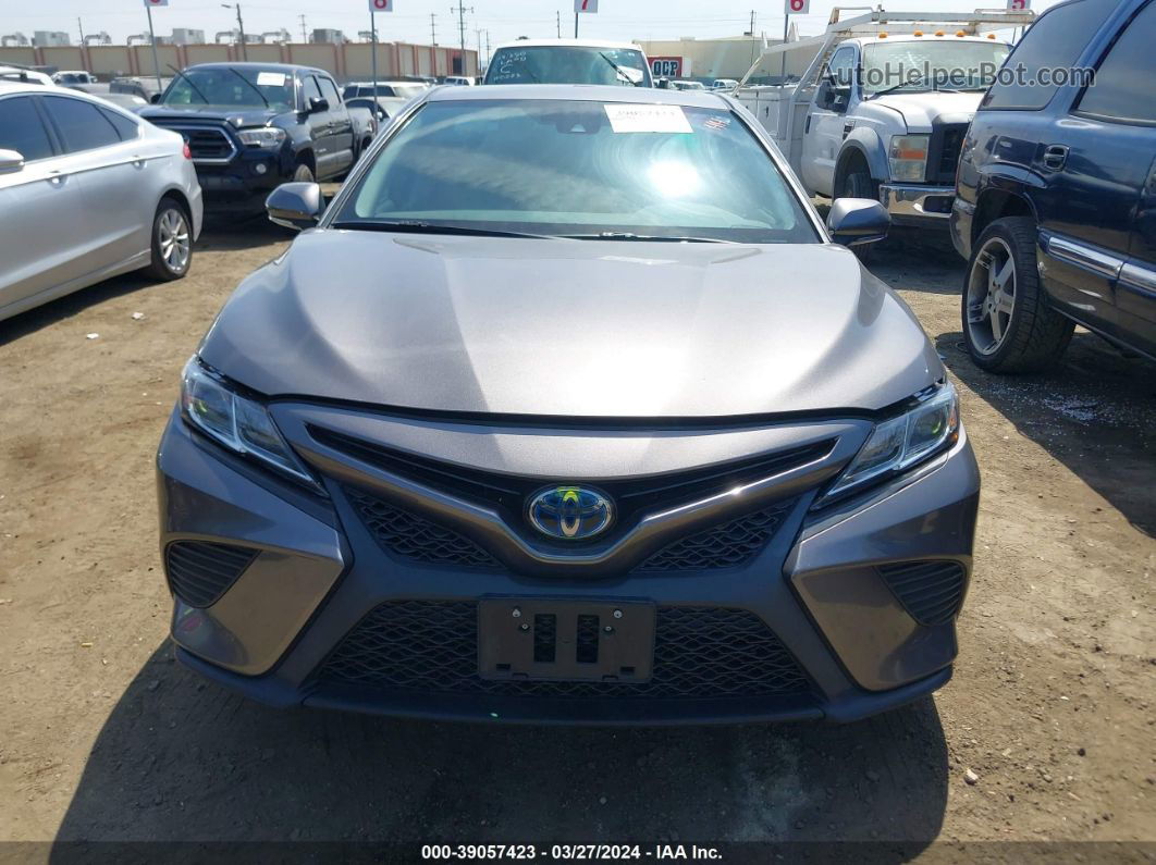 2019 Toyota Camry Hybrid Se Gray vin: 4T1B21HKXKU515187