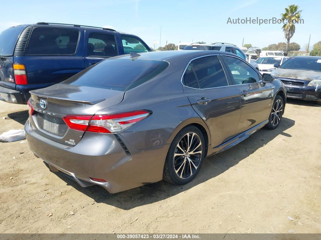 2019 Toyota Camry Hybrid Se Gray vin: 4T1B21HKXKU515187