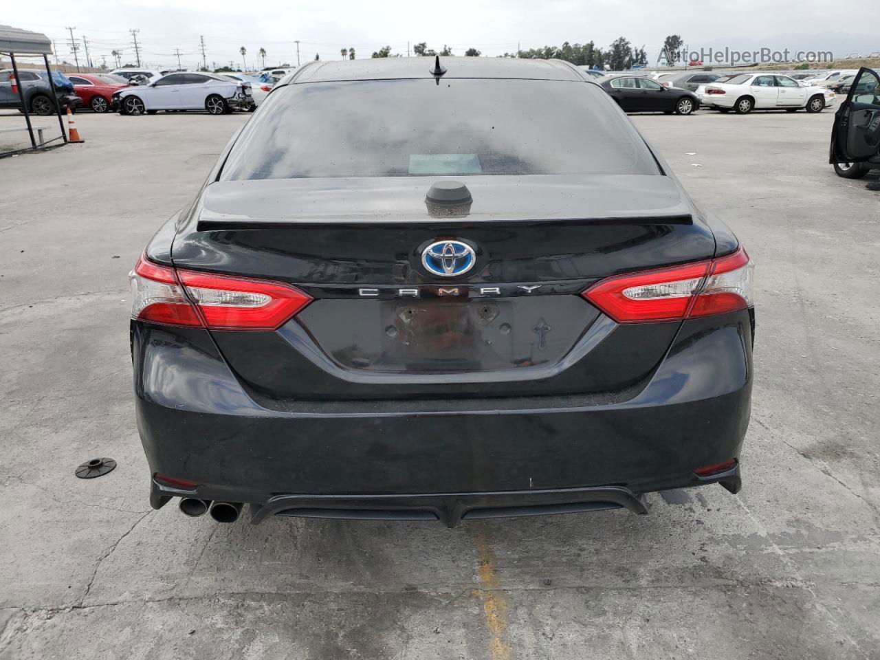 2019 Toyota Camry Hybrid Black vin: 4T1B21HKXKU516484