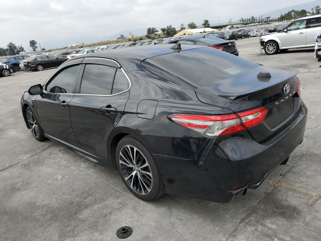 2019 Toyota Camry Hybrid Черный vin: 4T1B21HKXKU516484