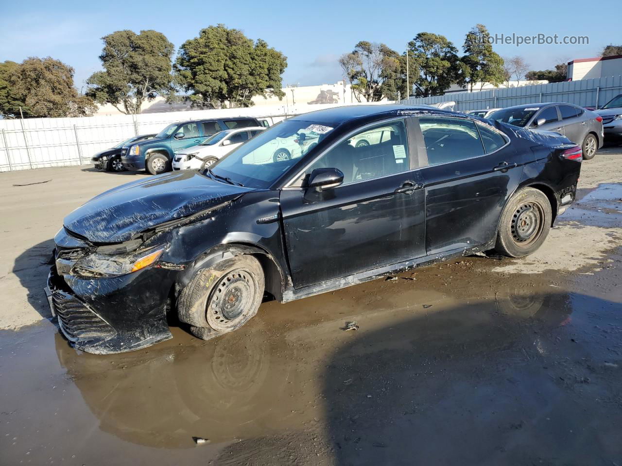 2019 Toyota Camry Le Black vin: 4T1B31HK0KU007517