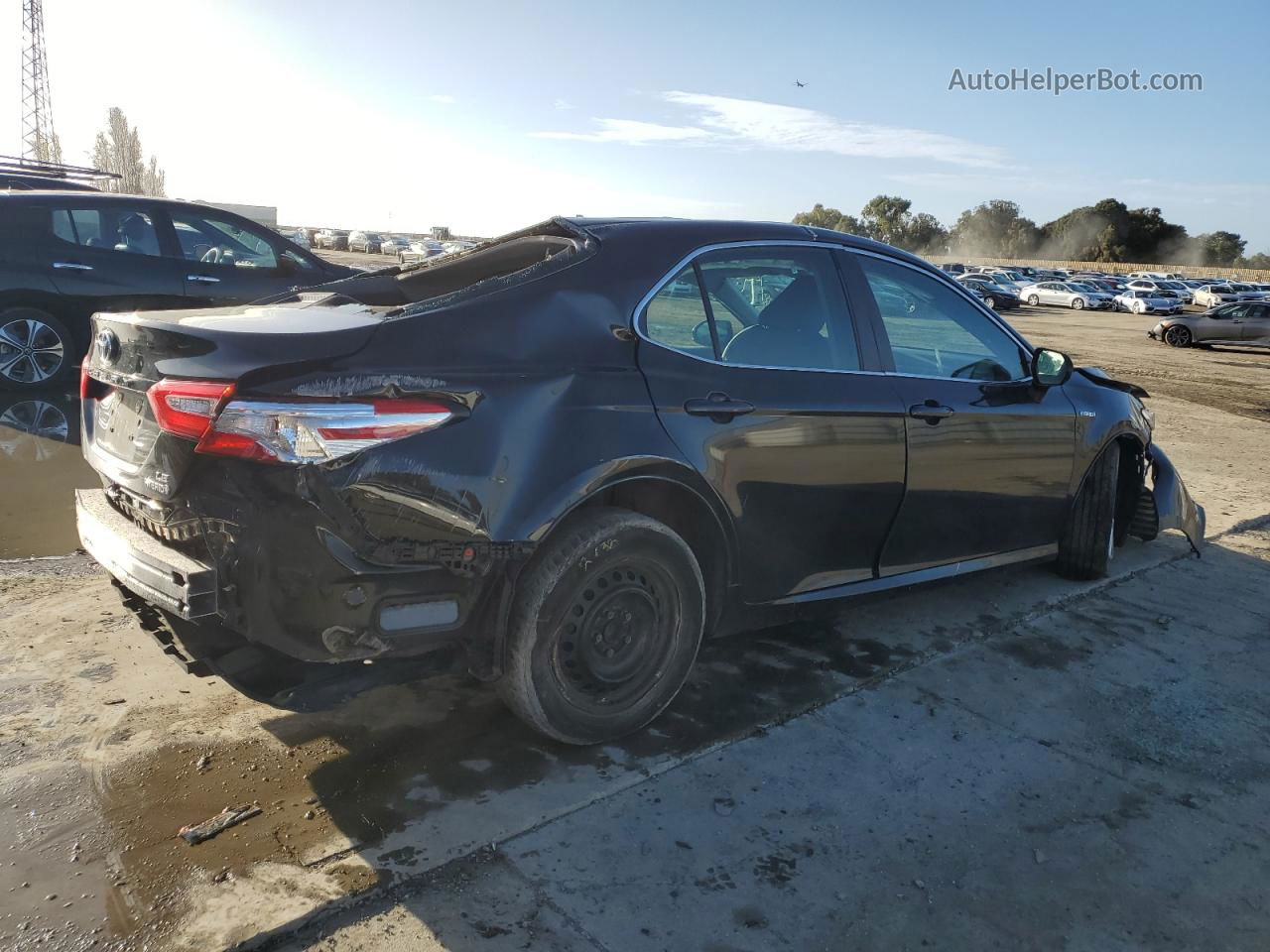 2019 Toyota Camry Le Black vin: 4T1B31HK0KU007517