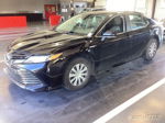 2019 Toyota Camry Le vin: 4T1B31HK0KU509881