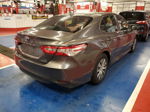 2019 Toyota Camry Le Неизвестно vin: 4T1B31HK0KU510299