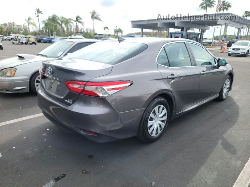 2019 Toyota Camry Le vin: 4T1B31HK0KU513848