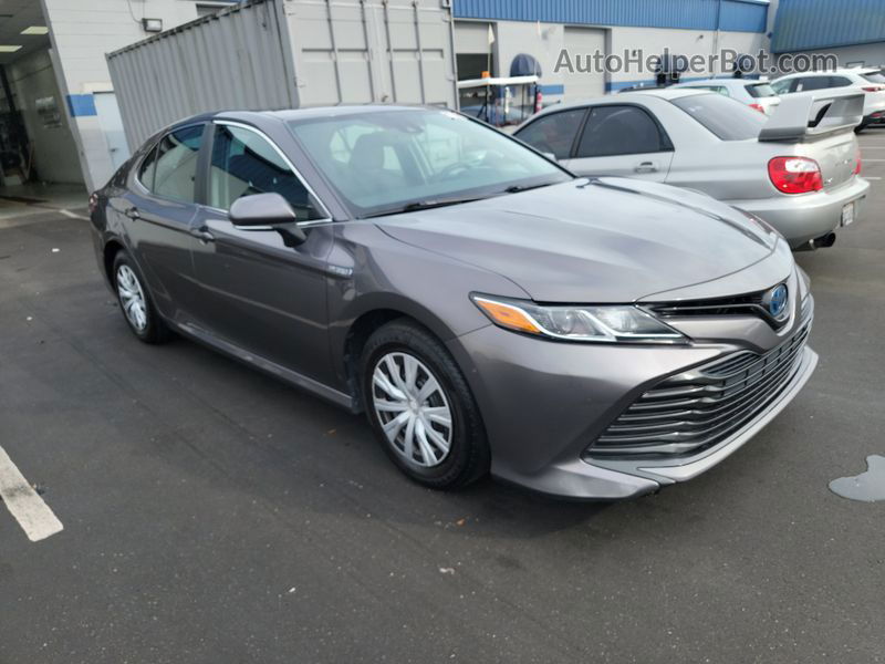 2019 Toyota Camry Le vin: 4T1B31HK0KU513848