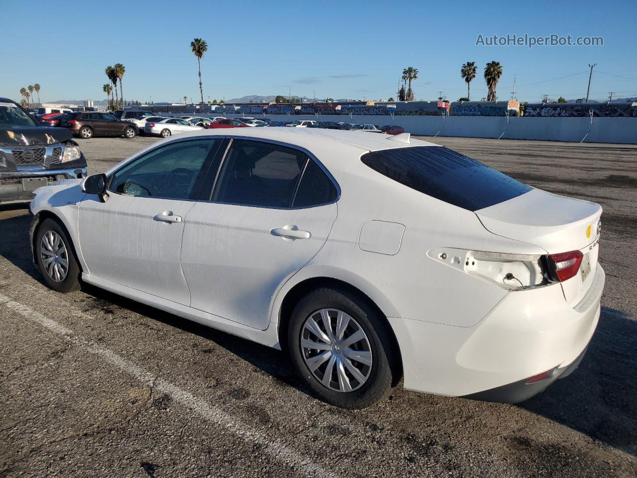 2019 Toyota Camry Le Белый vin: 4T1B31HK1KU008966