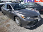 2019 Toyota Camry Le vin: 4T1B31HK2KU005722