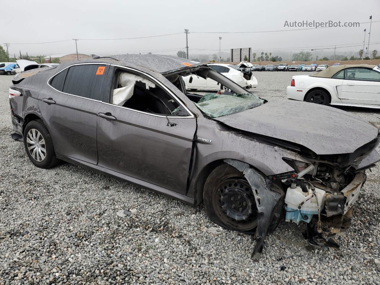 2019 Toyota Camry Le Gray vin: 4T1B31HK3KU007107