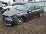 2019 Toyota Camry Le Gray vin: 4T1B31HK3KU008953