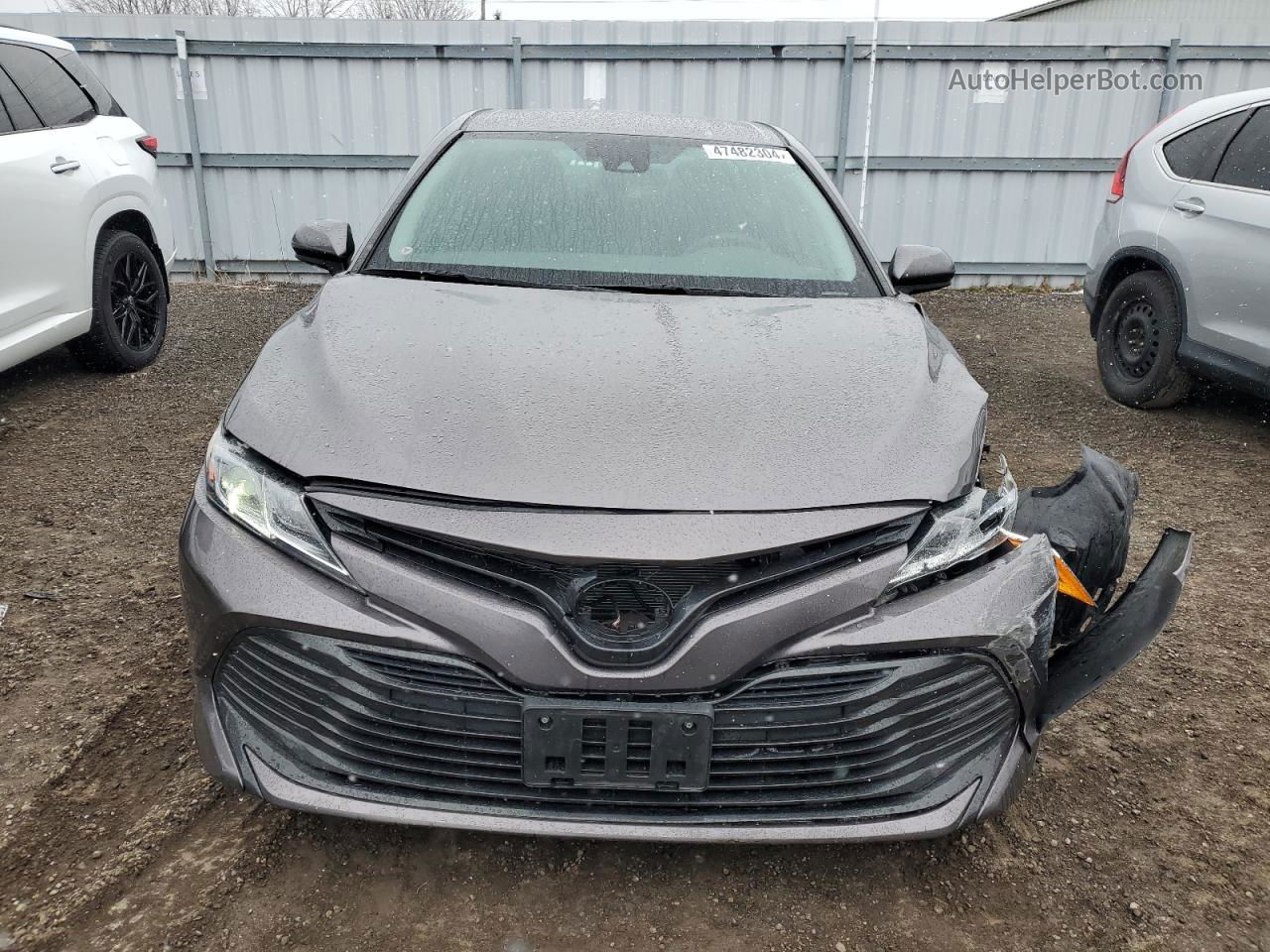 2019 Toyota Camry Le Gray vin: 4T1B31HK3KU008953