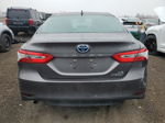 2019 Toyota Camry Le Gray vin: 4T1B31HK3KU008953