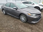 2019 Toyota Camry Le Gray vin: 4T1B31HK3KU008953