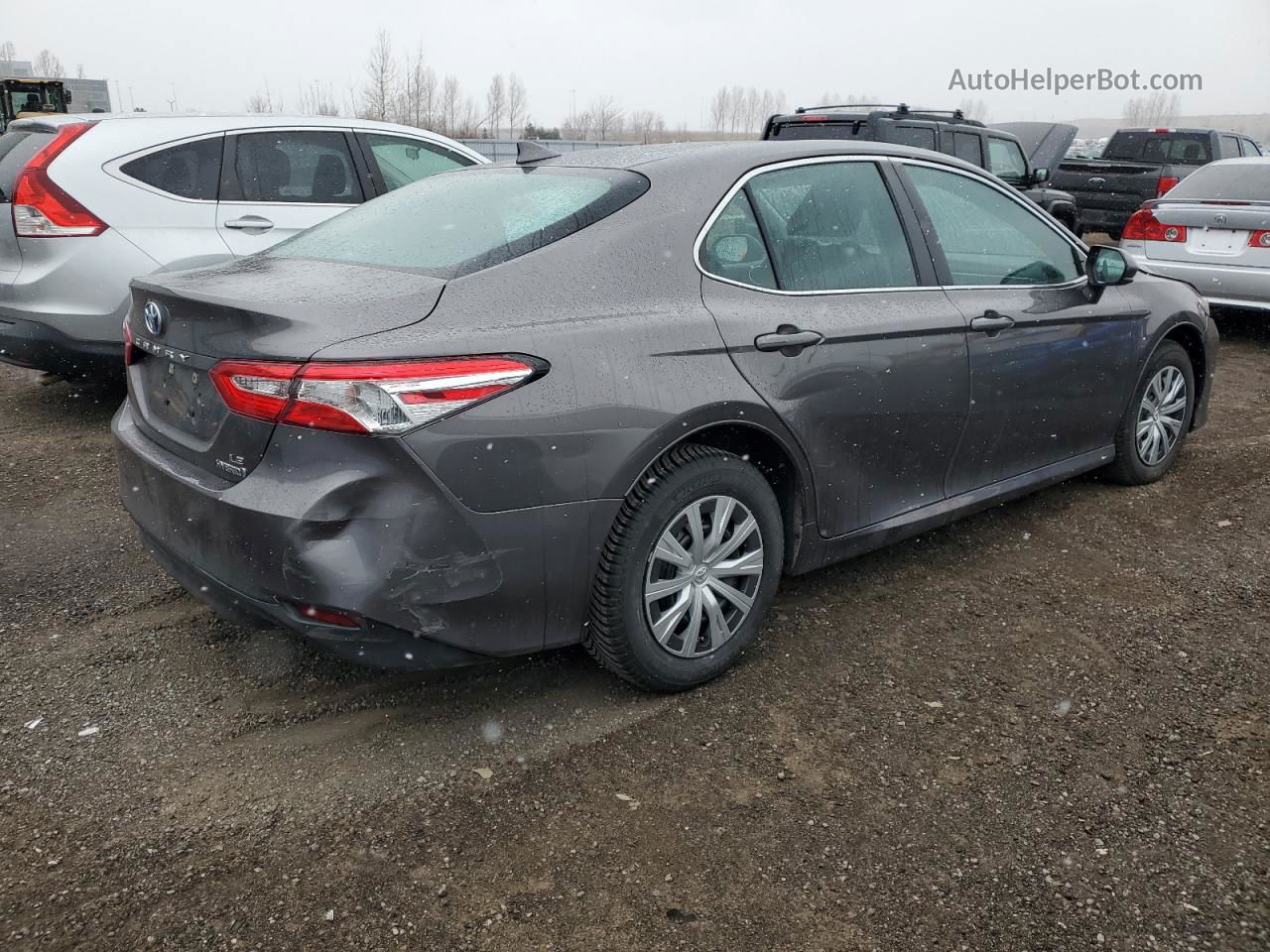 2019 Toyota Camry Le Gray vin: 4T1B31HK3KU008953