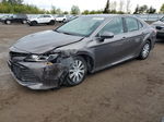 2019 Toyota Camry Le Gray vin: 4T1B31HK3KU008953