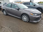 2019 Toyota Camry Le Gray vin: 4T1B31HK3KU008953