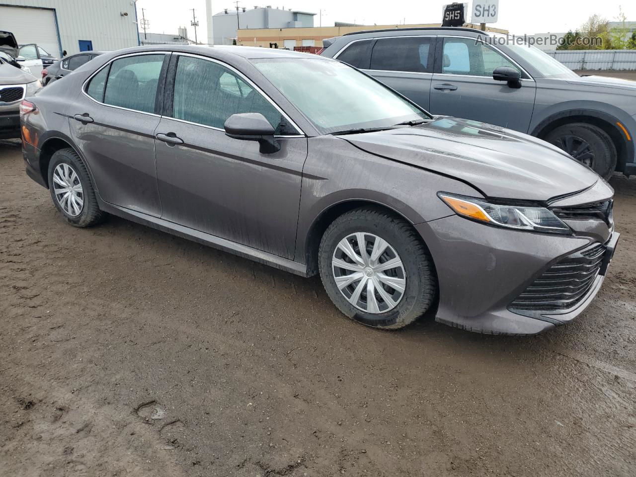 2019 Toyota Camry Le Серый vin: 4T1B31HK3KU008953