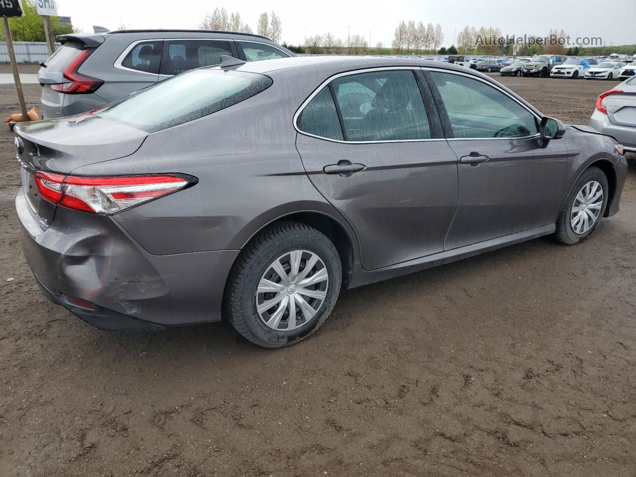 2019 Toyota Camry Le Серый vin: 4T1B31HK3KU008953