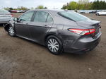 2019 Toyota Camry Le Gray vin: 4T1B31HK3KU008953