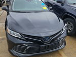 2019 Toyota Camry Le vin: 4T1B31HK3KU511673