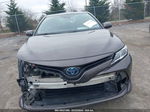 2019 Toyota Camry Hybrid Le Gray vin: 4T1B31HK3KU512483