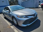 2019 Toyota Camry Le vin: 4T1B31HK4KU512024