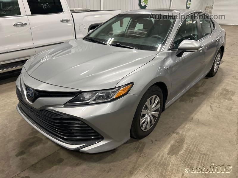 2019 Toyota Camry Le vin: 4T1B31HK5KU509617