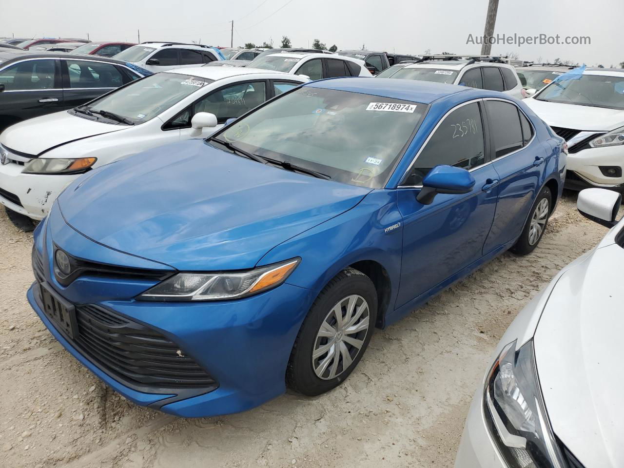 2019 Toyota Camry Le Blue vin: 4T1B31HK6KU005545