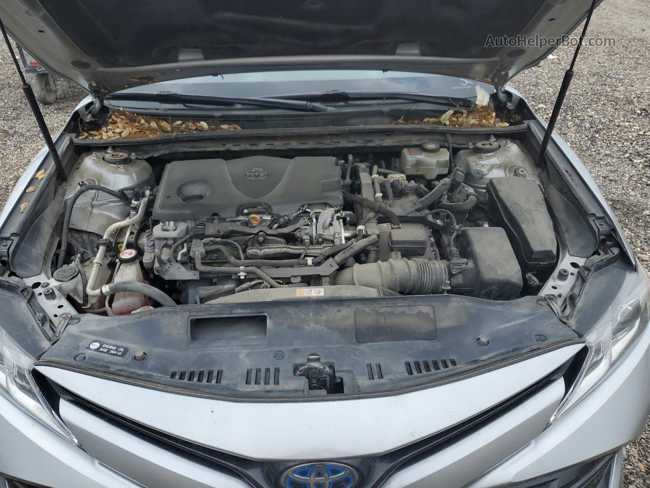 2019 Toyota Camry Le Gray vin: 4T1B31HK6KU511070