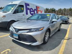 2019 Toyota Camry Le vin: 4T1B31HK6KU511618