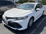 2019 Toyota Camry Le vin: 4T1B31HK6KU512820