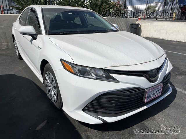 2019 Toyota Camry Le vin: 4T1B31HK6KU512820