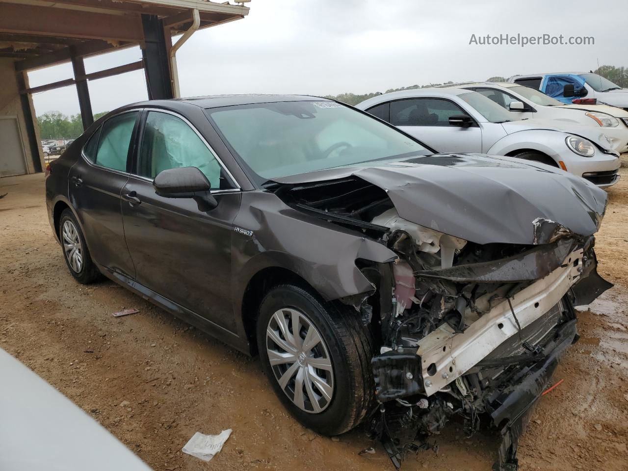 2019 Toyota Camry Le Gray vin: 4T1B31HK6KU516365