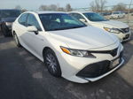 2019 Toyota Camry Le vin: 4T1B31HK7KU511756