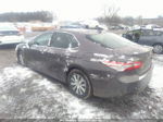 2019 Toyota Camry Hybrid Le Серый vin: 4T1B31HKXKU511637