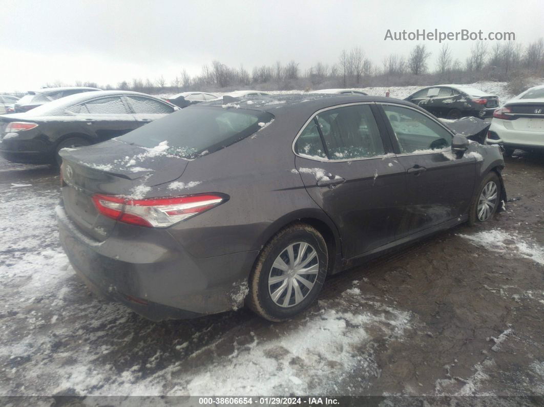 2019 Toyota Camry Hybrid Le Gray vin: 4T1B31HKXKU511637