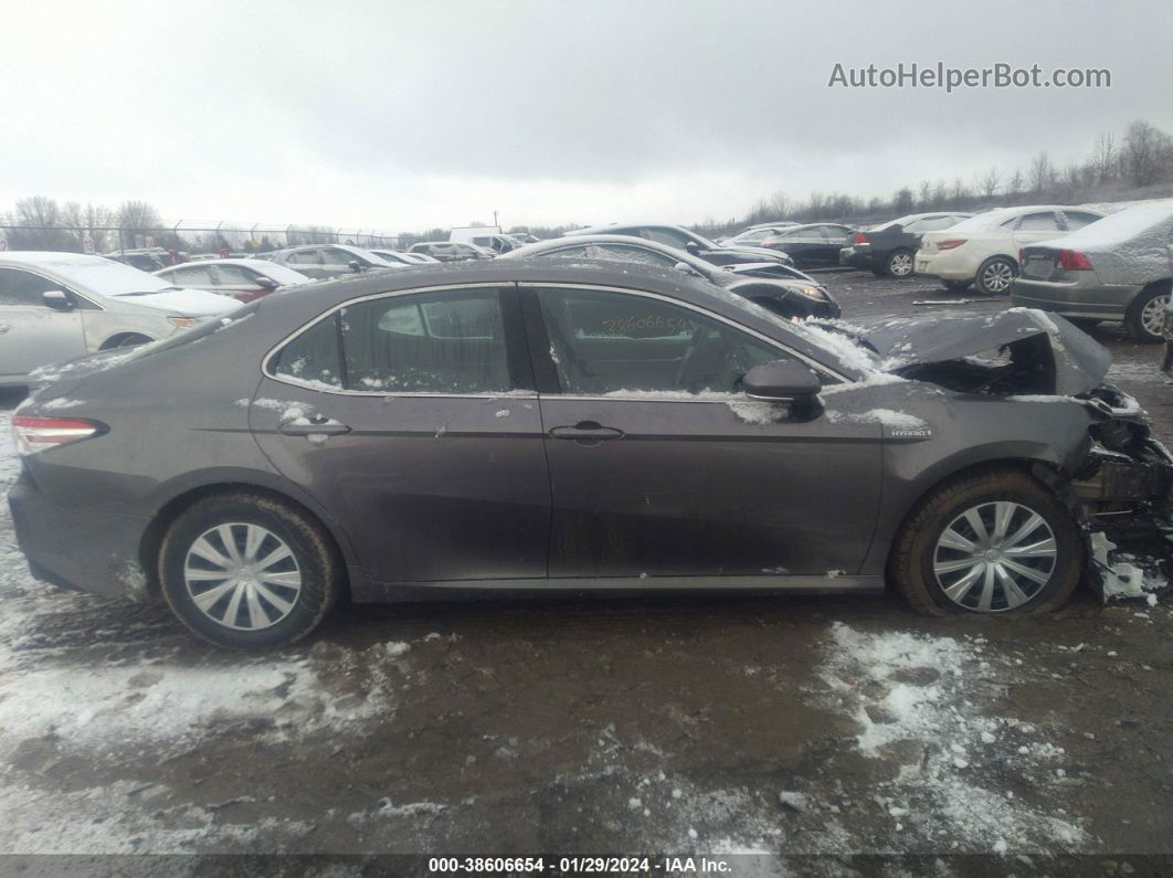 2019 Toyota Camry Hybrid Le Gray vin: 4T1B31HKXKU511637