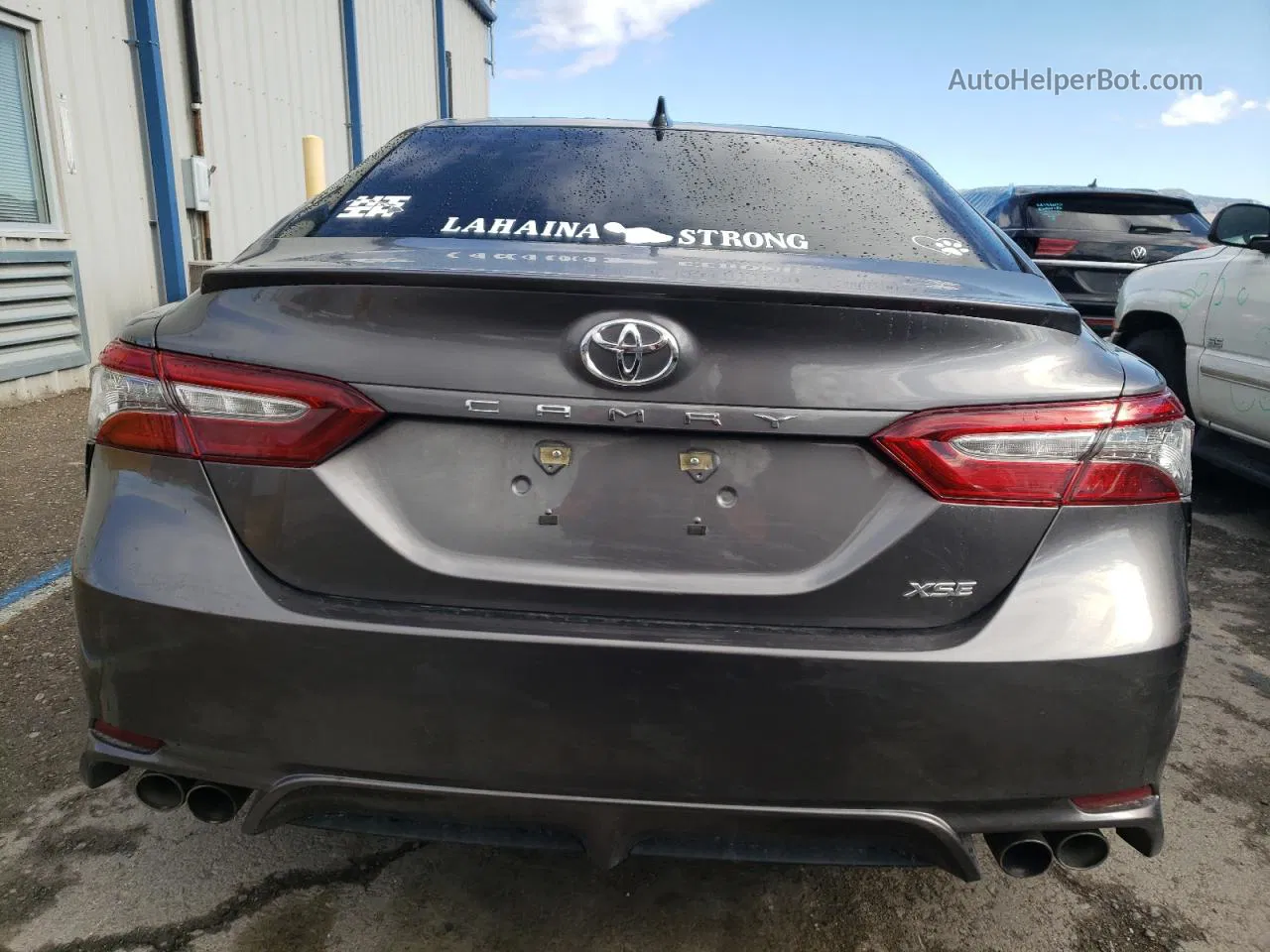 2019 Toyota Camry Xse Gray vin: 4T1B61HK1KU737556