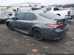 2019 Toyota Camry Xse Pewter vin: 4T1B61HK1KU846700