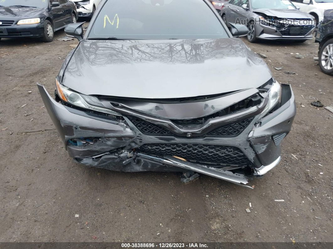 2019 Toyota Camry Xse Pewter vin: 4T1B61HK1KU846700