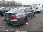 2019 Toyota Camry Xse Pewter vin: 4T1B61HK1KU846700