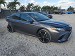 2019 Toyota Camry Xse Gray vin: 4T1B61HK2KU808019