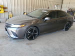 2019 Toyota Camry Xse Gray vin: 4T1B61HK4KU735333