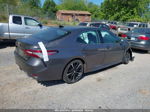 2019 Toyota Camry Xse Gray vin: 4T1B61HK5KU282663