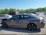 2019 Toyota Camry Xse Gray vin: 4T1B61HK5KU282663