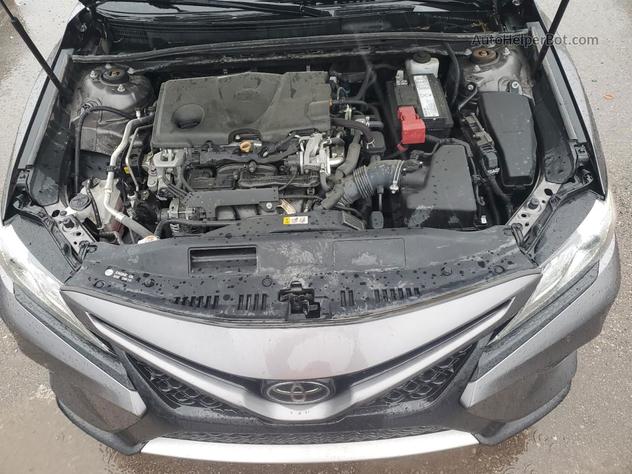 2019 Toyota Camry Xse Silver vin: 4T1B61HK5KU852404